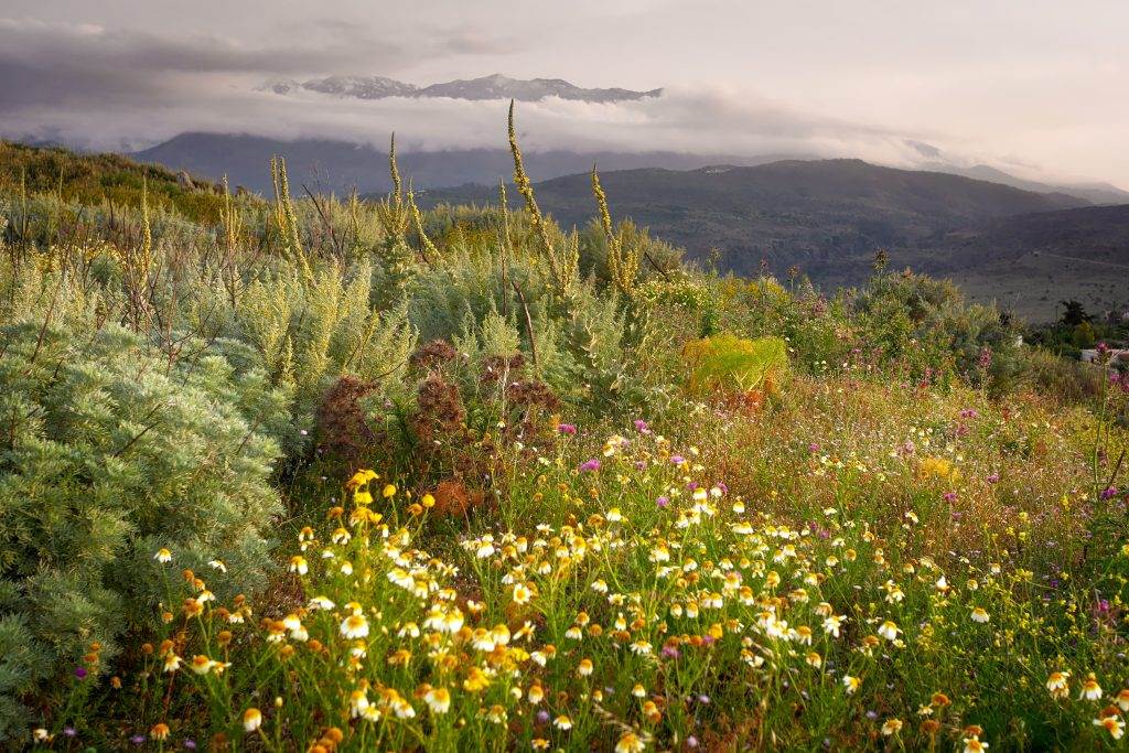 best time to visit greece