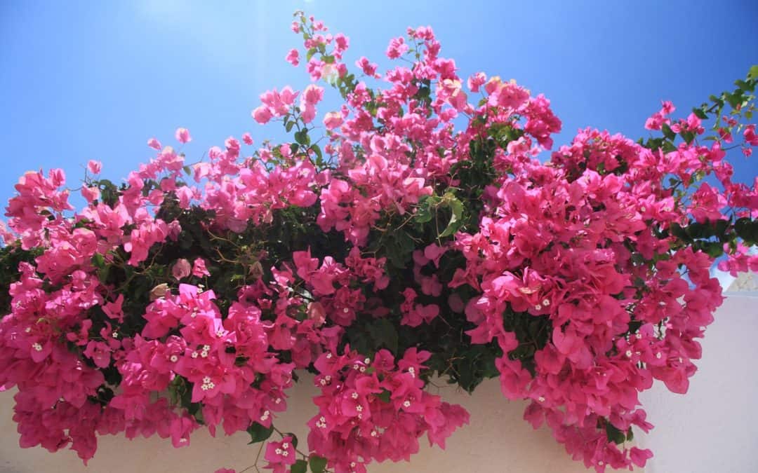 when to visit greece