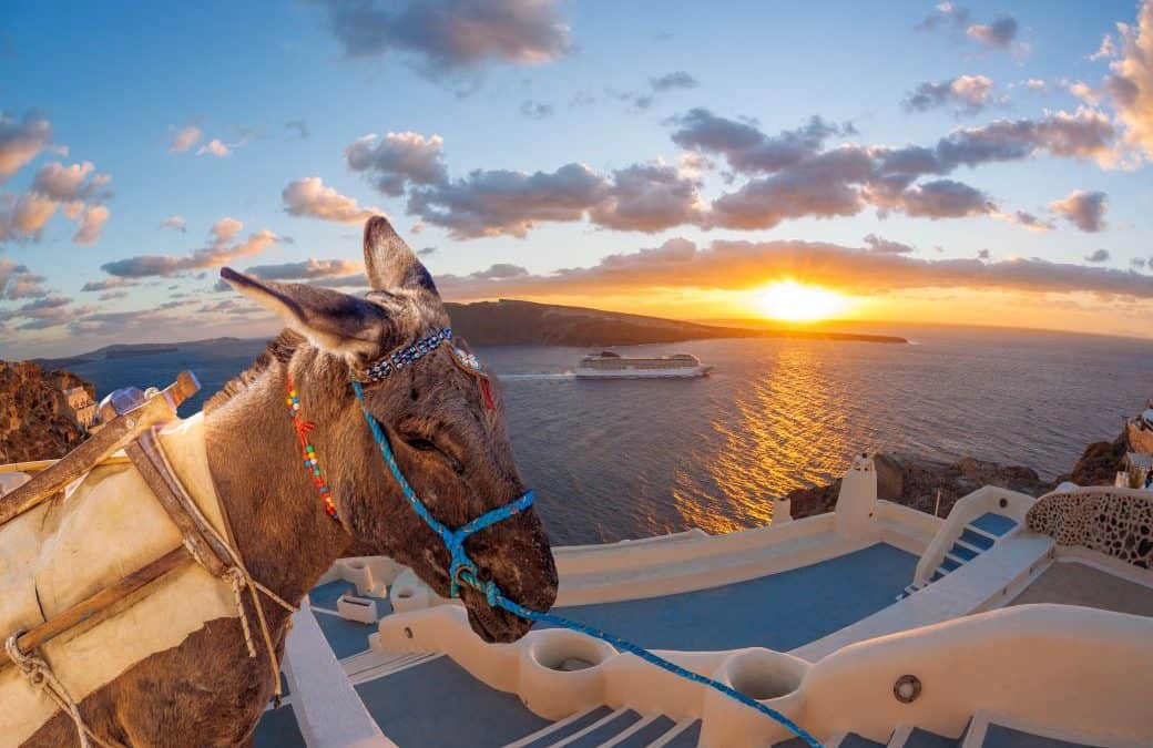 SHOULD YOU DO A SANTORINI DONKEY RIDE?
