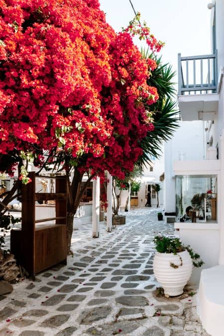 day trips from paros