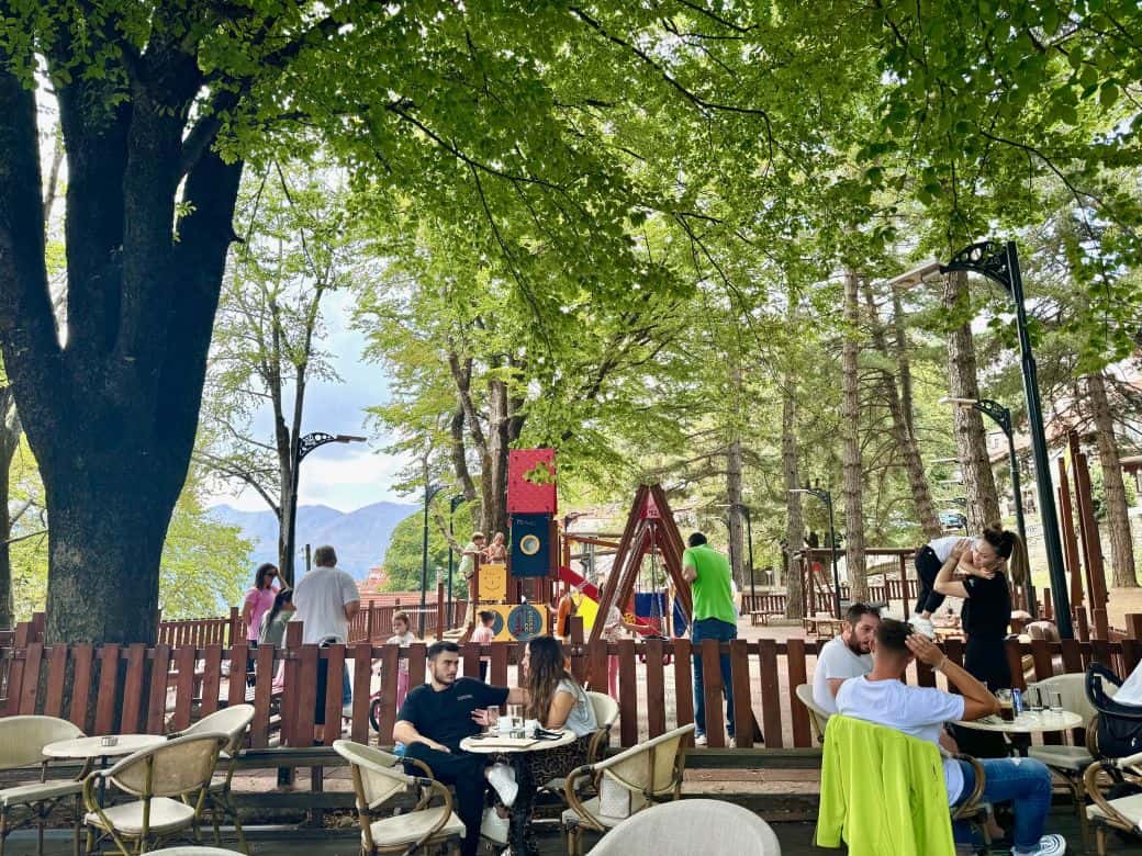 what to do in Metsovo